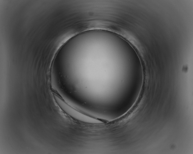 X0000102541145200808081515