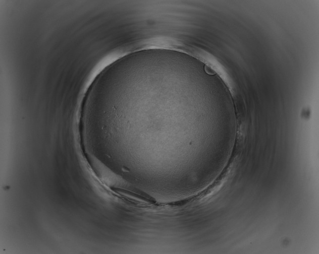 X0000102541146200808081515