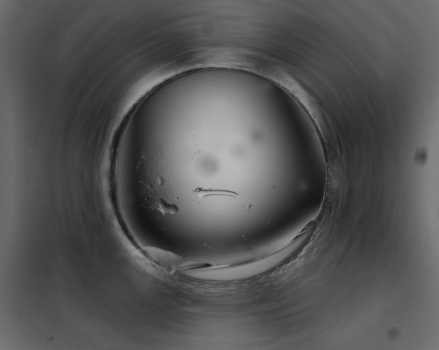 X0000102541147200808081515