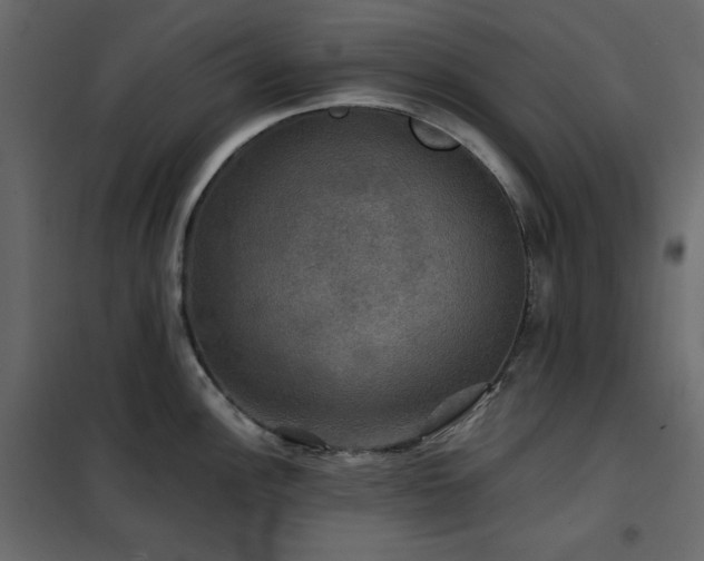 X0000102541148200808081515