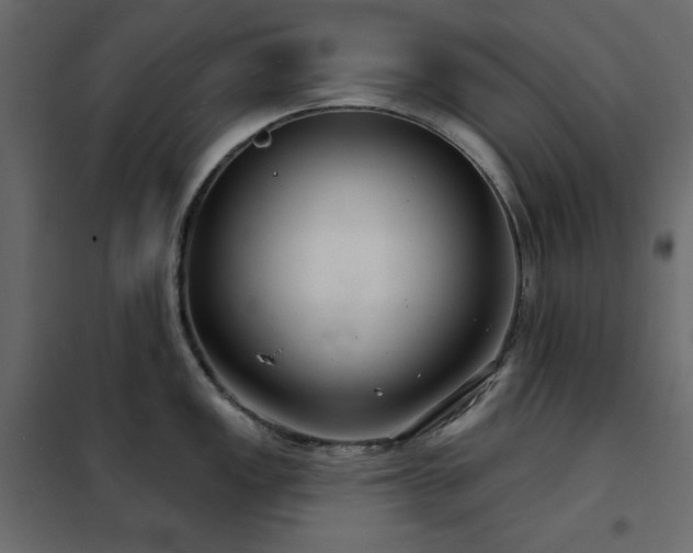 X0000102541149200808081515