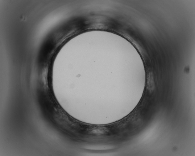 X0000102541150200808081515