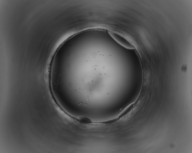 X0000102541151200808081515