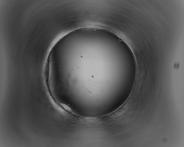 X0000102541152200808081515