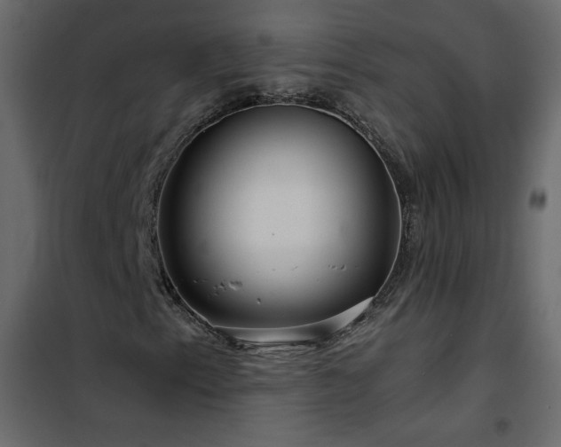 X0000102541153200808081514