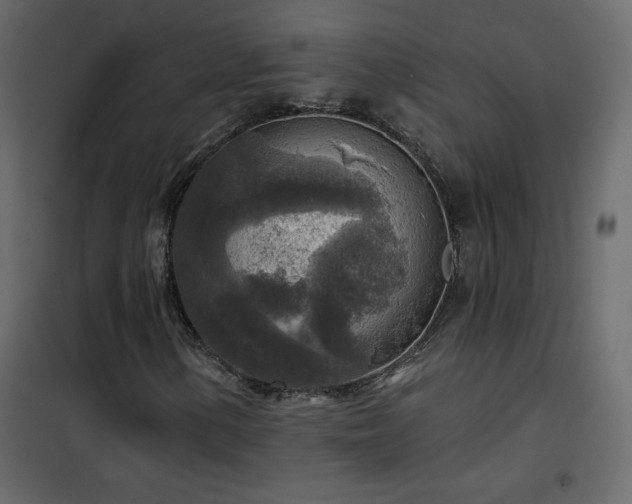 X0000102541154200808081514