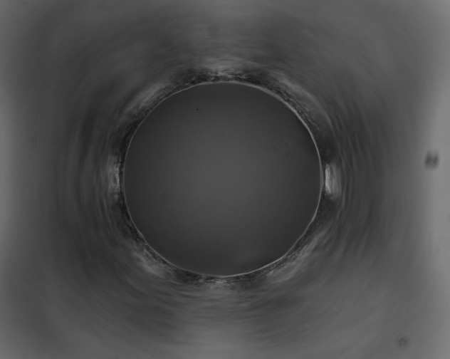 X0000102541155200808081514