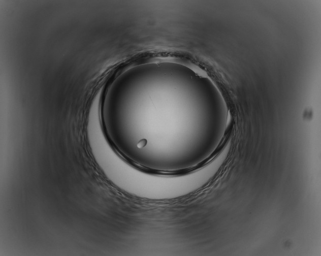 X0000102541157200808081514