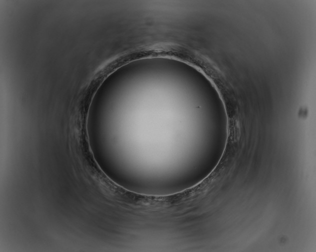 X0000102541158200808081514