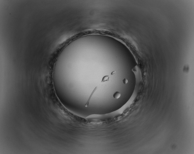 X0000102541159200808081514
