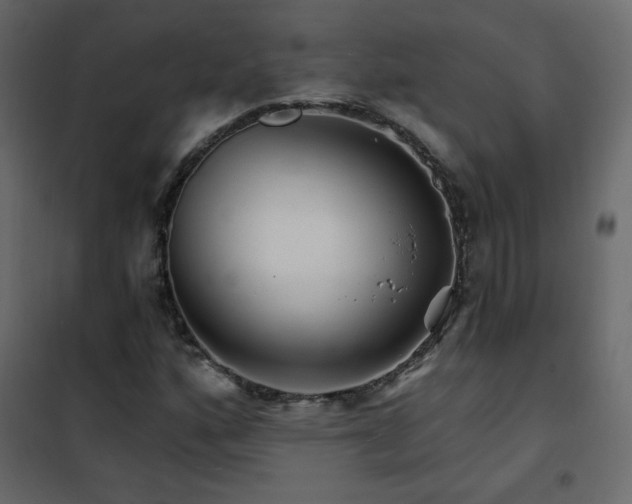 X0000102541160200808081514