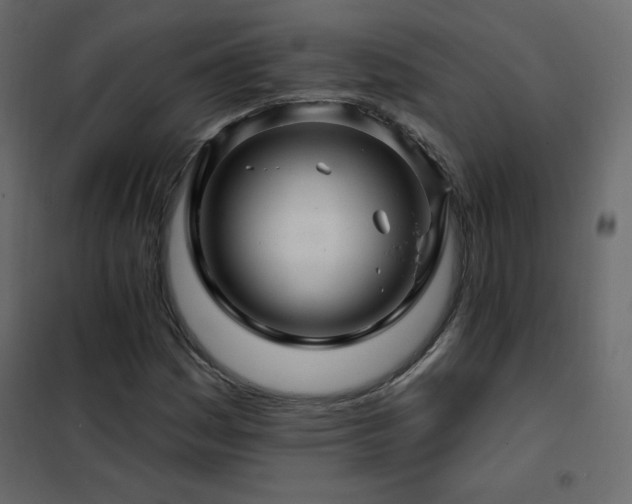 X0000102541161200808081514