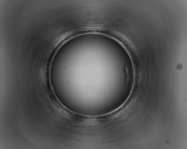 X0000102541162200808081514