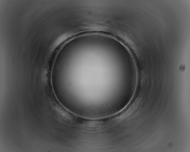 X0000102541163200808081514