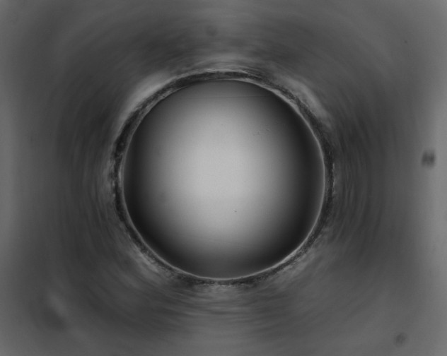 X0000102541164200808081514