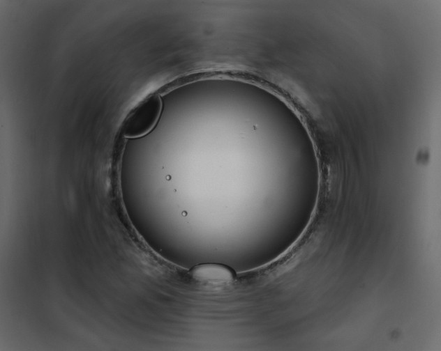 X0000102541165200808081514