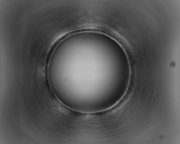 X0000102541166200808081514