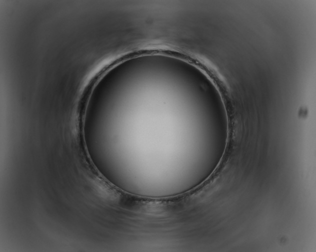 X0000102541167200808081514