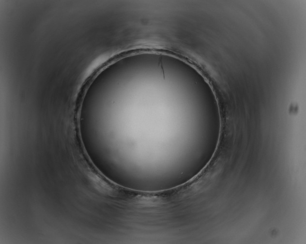 X0000102541168200808081514