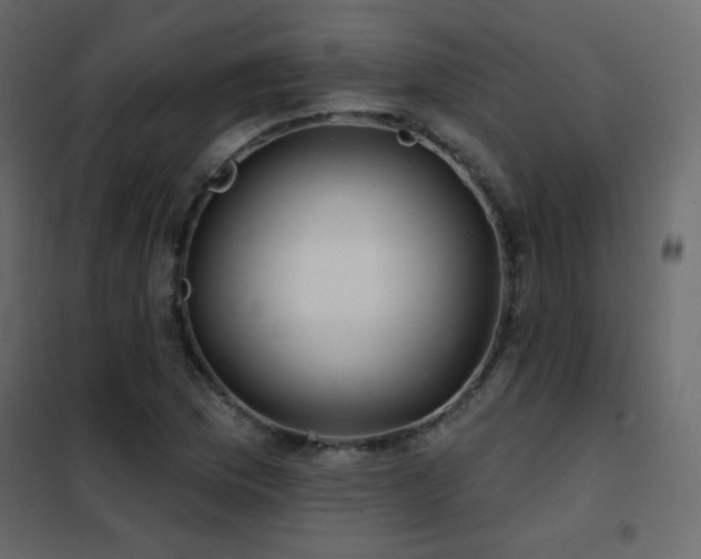 X0000102541169200808081514