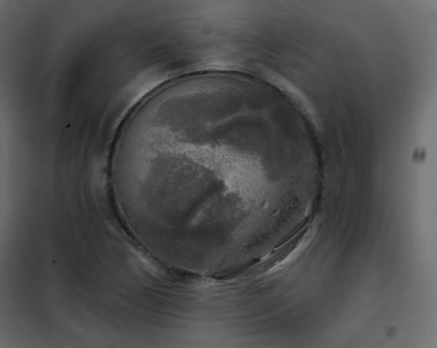 X0000102541170200808081514