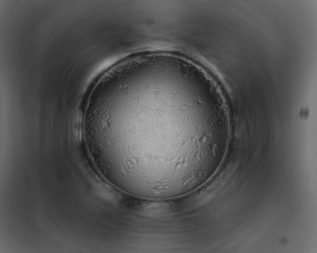 X0000102541171200808081514