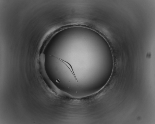 X0000102541172200808081514