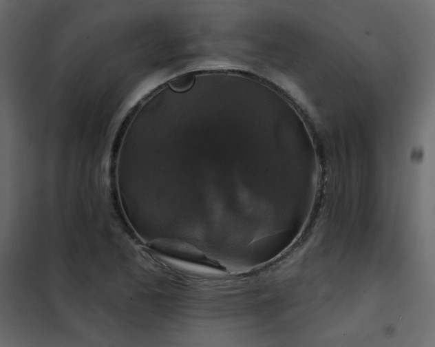 X0000102541173200808081514