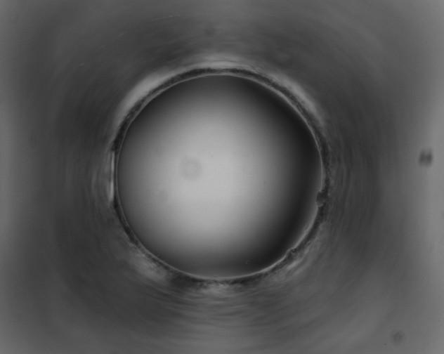 X0000102541175200808081514