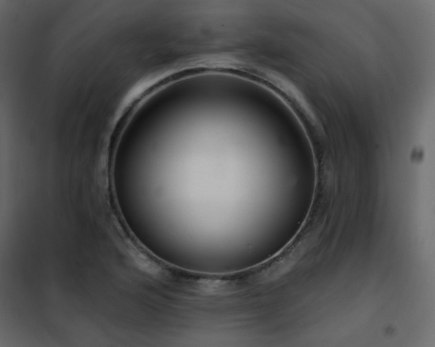 X0000102541176200808081514