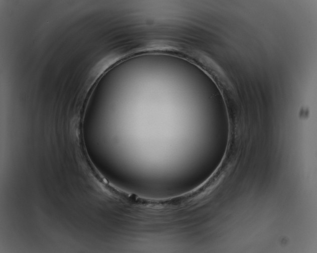 X0000102541177200808081514