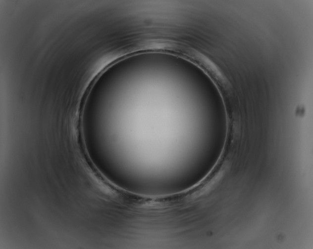 X0000102541178200808081514