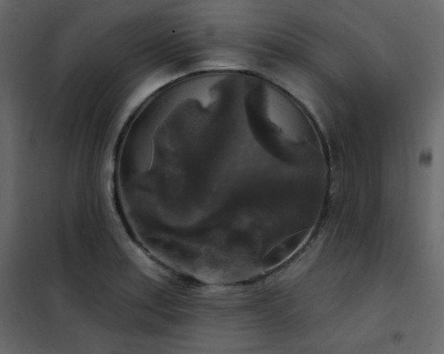 X0000102541179200808081514
