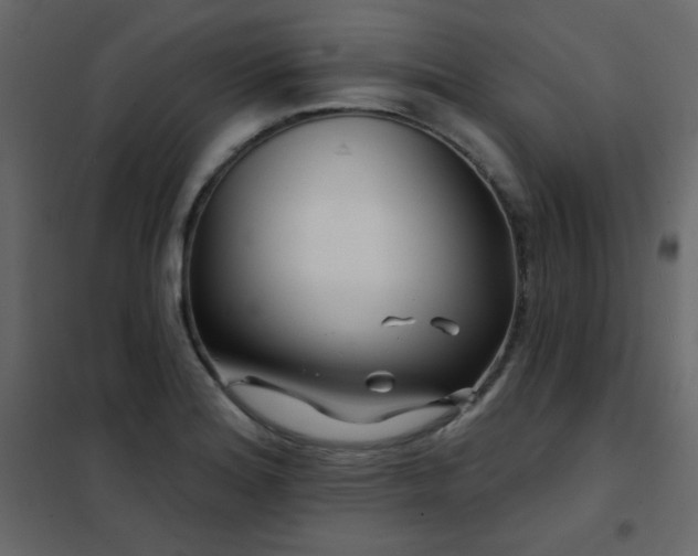 X0000102541180200808081514