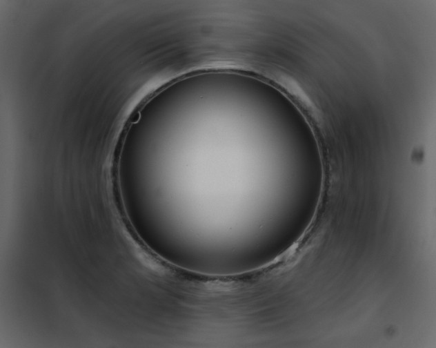 X0000102541181200808081514
