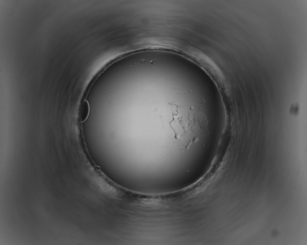 X0000102541182200808081514