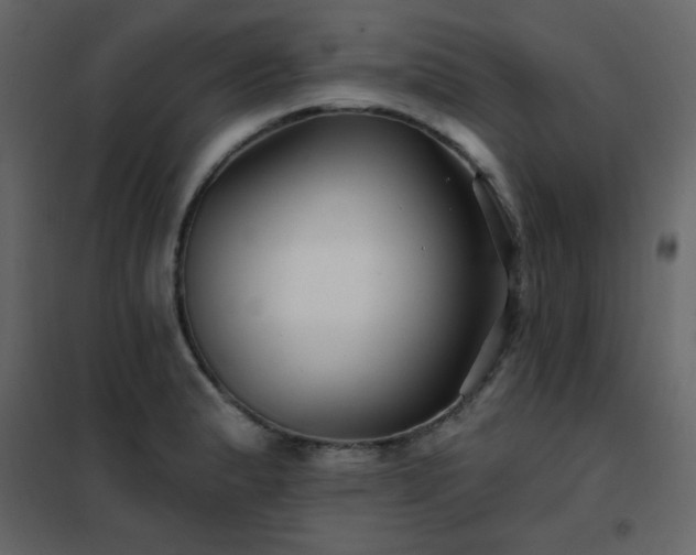 X0000102541183200808081514