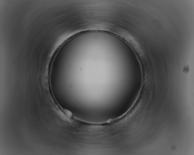 X0000102541184200808081514