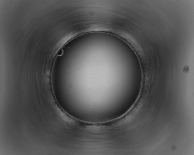 X0000102541185200808081514