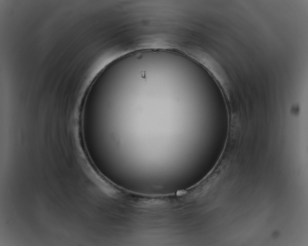 X0000102541187200808081514