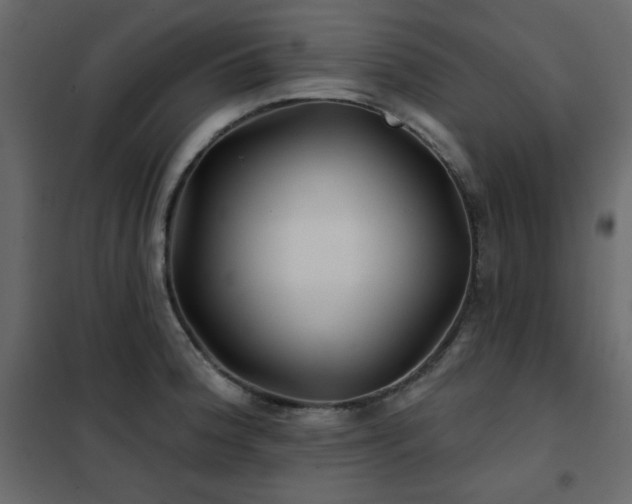 X0000102541188200808081514