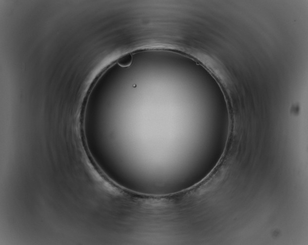 X0000102541189200808081514