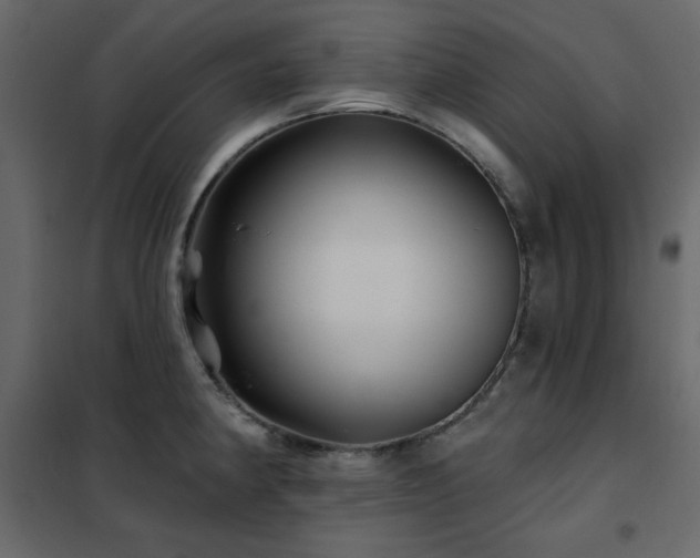 X0000102541190200808081514