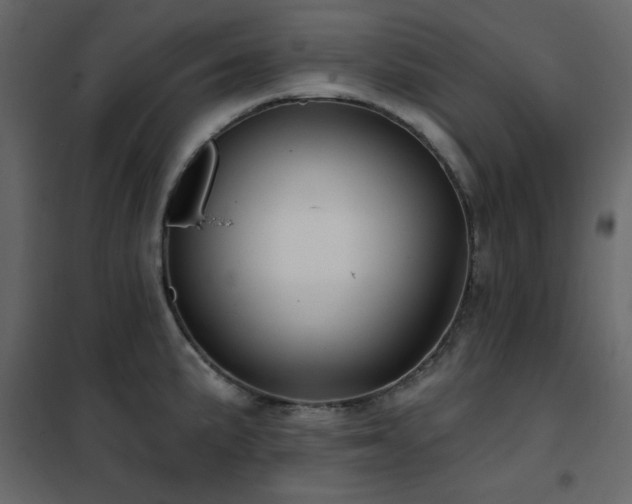 X0000102541191200808081514