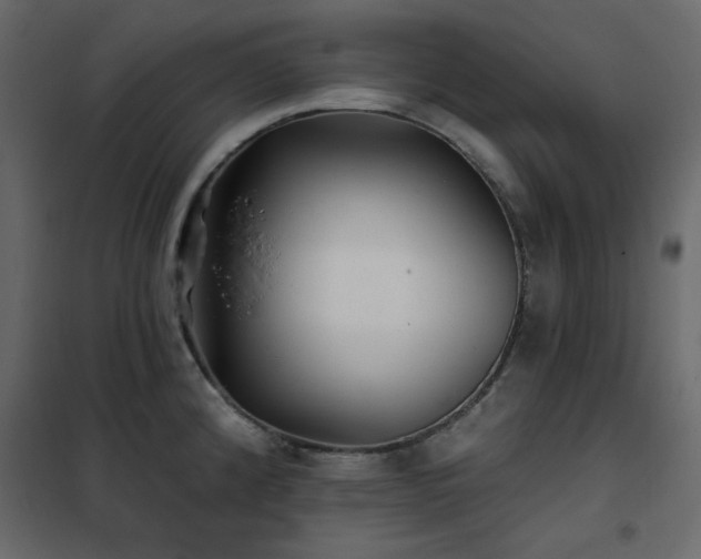 X0000102541192200808081514