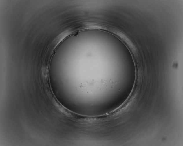 X0000102541193200808081514