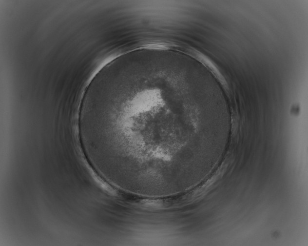 X0000102541194200808081514