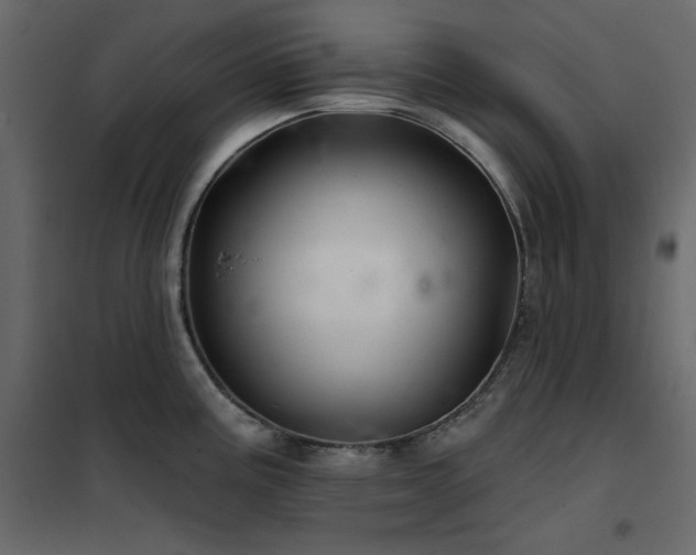 X0000102541195200808081514