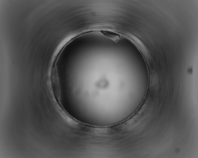 X0000102541196200808081514
