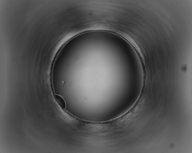 X0000102541197200808081514